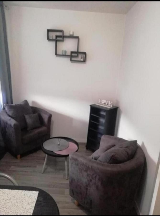 T1 Bis Calme Proche Centre Ville Apartment Saint-Etienne  Exterior photo